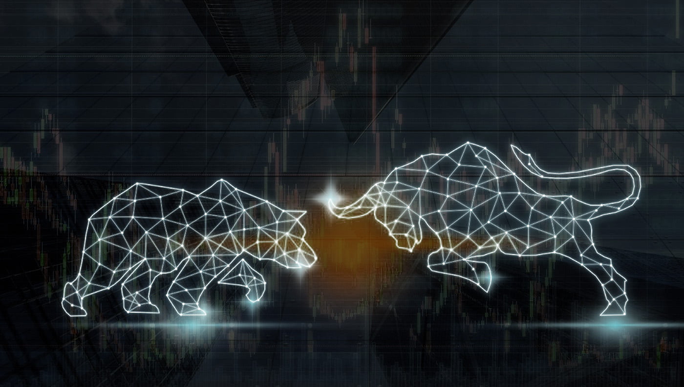 Sfarsitul notiunii de “bear market”